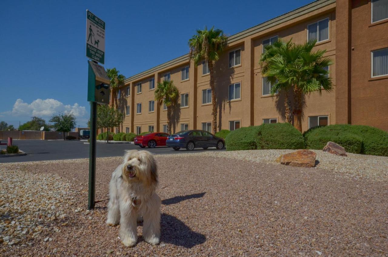 Holiday Inn Express Las Vegas-Nellis By Ihg Dış mekan fotoğraf