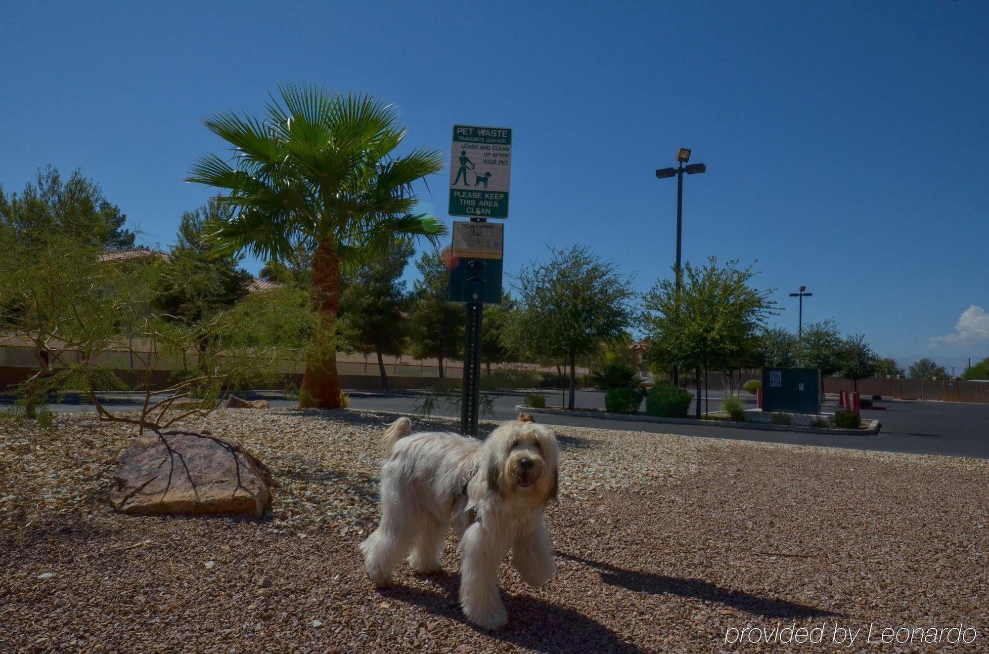 Holiday Inn Express Las Vegas-Nellis By Ihg Dış mekan fotoğraf